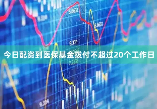 今日配资到医保基金拨付不超过20个工作日